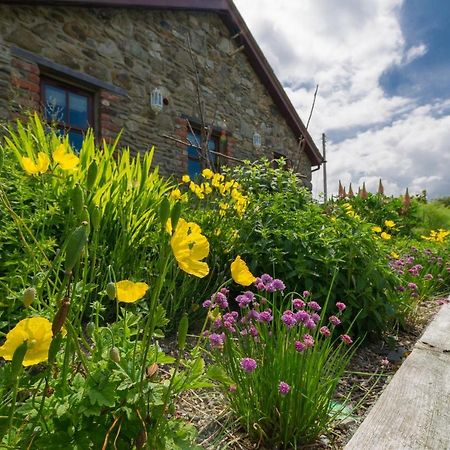 Tyn Rhos Country House Caernarfon Zewnętrze zdjęcie