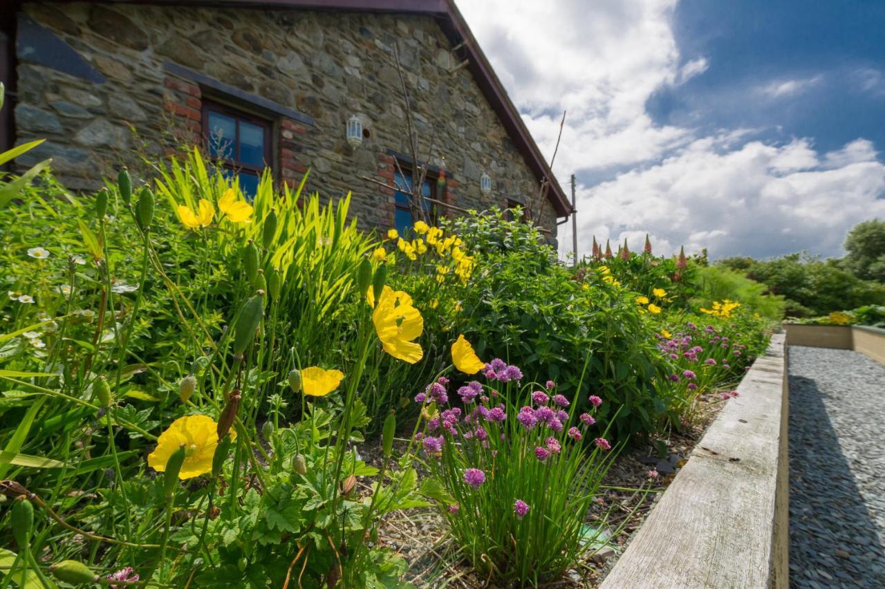 Tyn Rhos Country House Caernarfon Zewnętrze zdjęcie