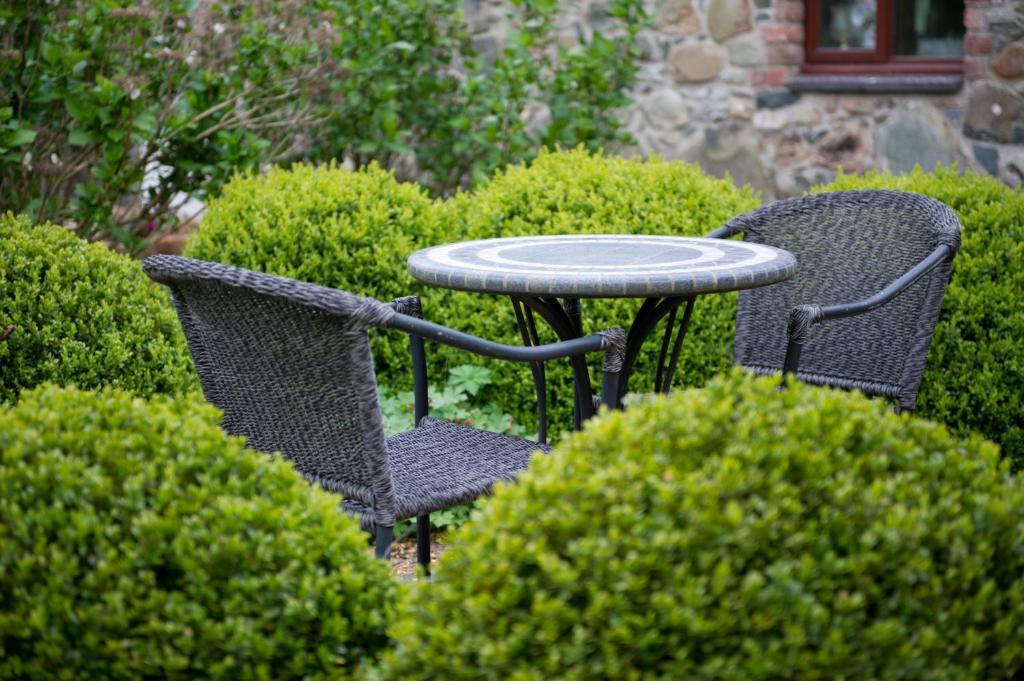 Tyn Rhos Country House Caernarfon Pokój zdjęcie